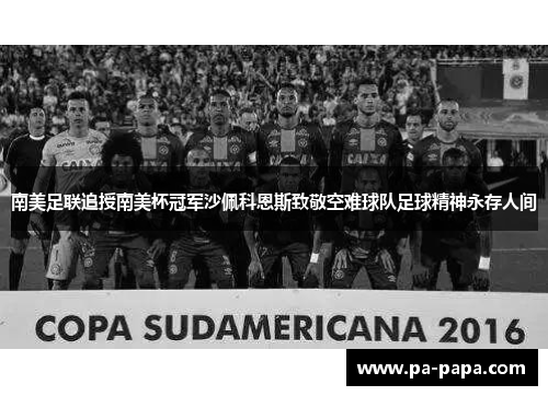 南美足联追授南美杯冠军沙佩科恩斯致敬空难球队足球精神永存人间 南美足联追授南美杯冠军沙佩科恩斯致敬空难球队足球精神永存人间